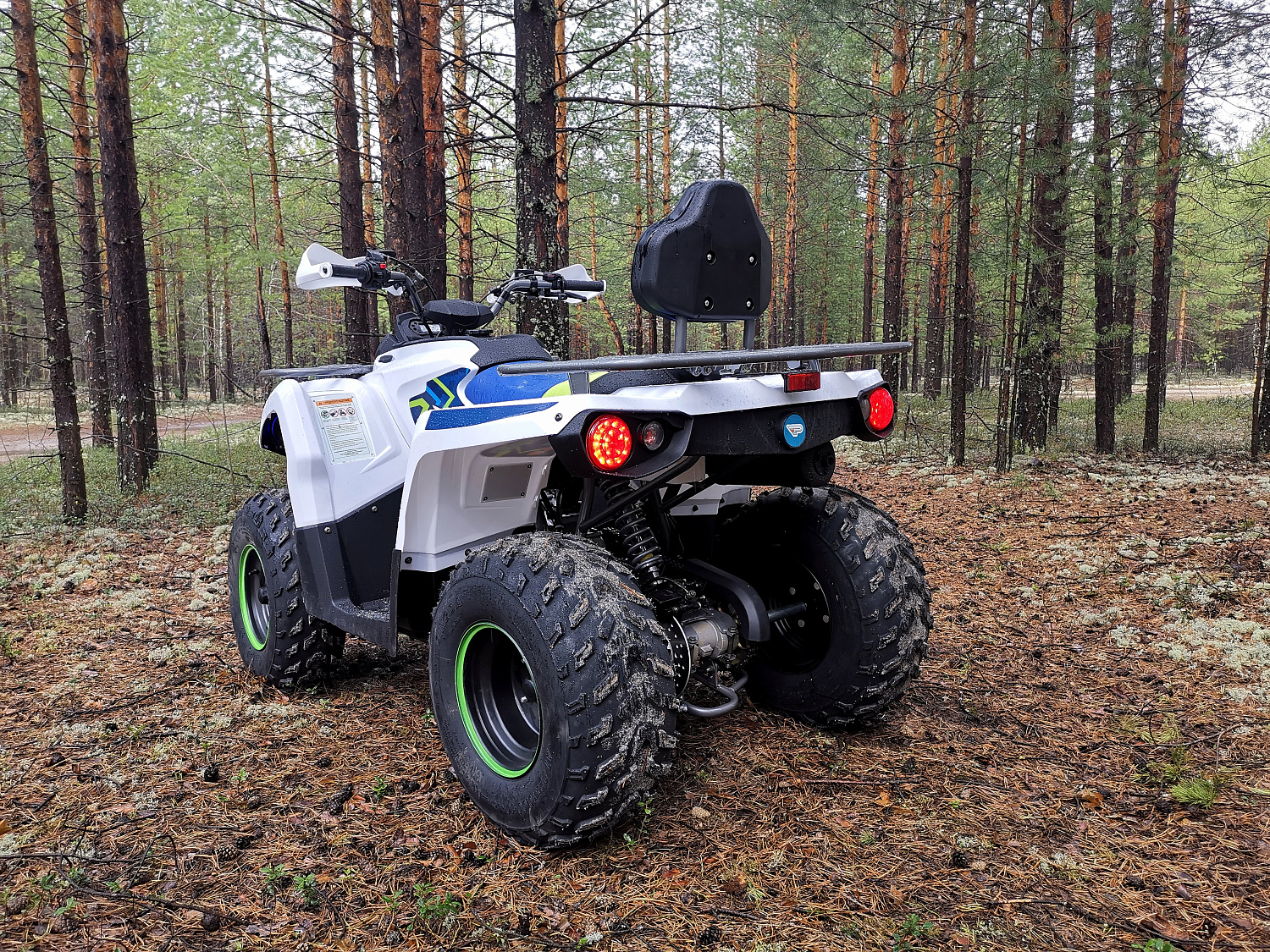 Квадроцикл PROMAX RENEGADE 280 (2025) в Туле