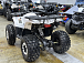 Квадроцикл PROMAX WILD 2.0 190 LUX в Туле