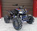 Квадроцикл PROMAX RAPTOR 300 NEW RedBull в Туле