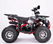 Квадроцикл YACOTA Sirius LD 125 в Туле
