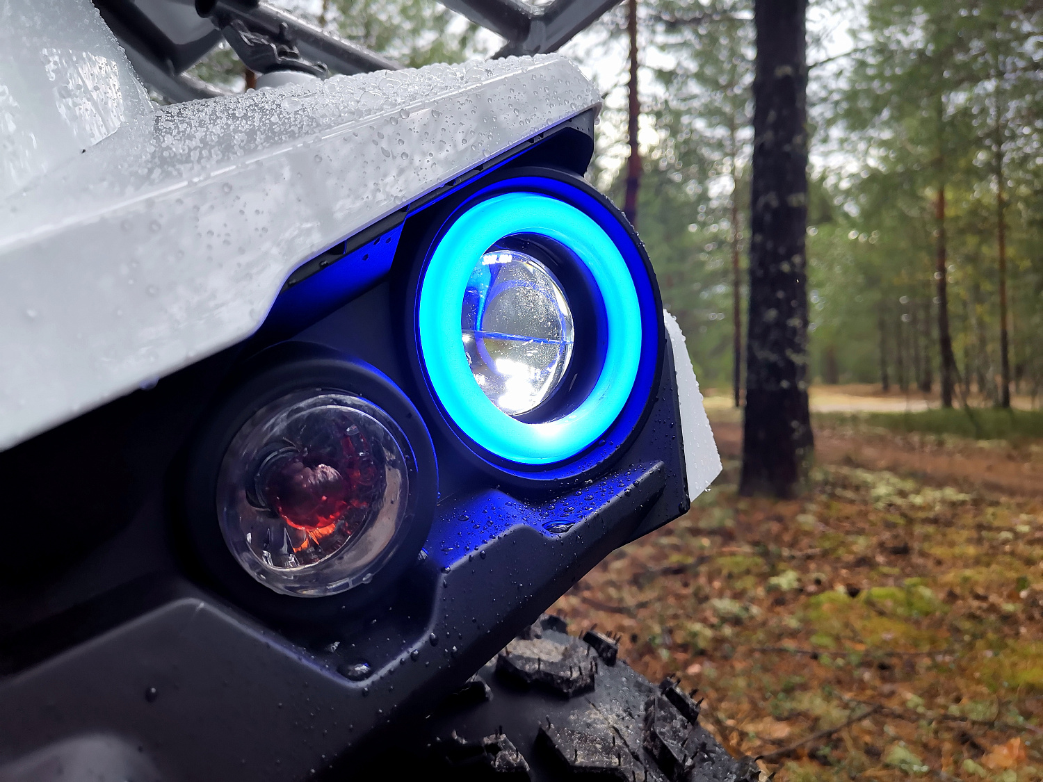 Квадроцикл PROMAX RENEGADE 280 (2025) в Туле