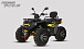 Квадроцикл PROMAX TAURUS 300 MAX-PRO LONG в Туле